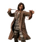 Figurine Sirius Black 6009018(9)