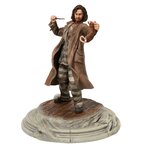Figurine Sirius Black 6009018(2)
