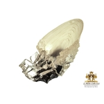 La Coupe de Cristal - Harry Potter - NN1009