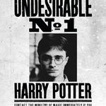 Affiche - Ministère de la Magie - Indésirable N°1 - Harry Potter - MinaLima HPP11 (2)