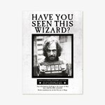 Affiche - Ministère de la Magie - Avez-vous vu ce Sorciers  - Sirius Black - MinaLima HPP12 (1)