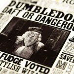 Carte Lenticulaire - La Gazette du Sorcier - Dumbledore  Idiot ou Dangereux - MinaLima HPCARD12 (2)