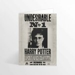 Carte Lenticulaire - Ministère de La Magie - Indésirable N°1 - Harry Potter - MinaLima HPCARD15 (1)