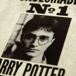 Carte Lenticulaire - Ministère de La Magie - Indésirable N°1 - Harry Potter - MinaLima HPCARD15 (3)