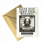 Carte Lenticulaire - Ministère de la Magie - Avez-vous vu ce sorcier  - Sirius Black - MinaLima (3)