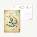 Carte postale mystère Série 1 - Journal de Terrain de Norbert Dragonneau - MinaLima - Animaux Fantastiques WWMPC01(6)