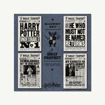Magnets - La Gazette du Sorcier - MinaLima - Harry Potter DPM01(3)