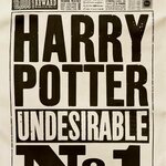 Torchon Harry Potter Indésirable N°1 - La Gazette du Sorcier - MinaLima - Harry Potter HPT02(2)