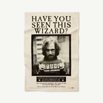Torchon Avez-vous vu ce sorcier - Ministère de la Magie - MinaLima - Harry Potter HPT04(1)