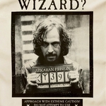 Torchon Avez-vous vu ce sorcier - Ministère de la Magie - MinaLima - Harry Potter HPT04(2)