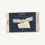 Lot de 2 Torchons Lettre dAdmission - Poudlard - MinaLima - Harry Potter HPT05(6)