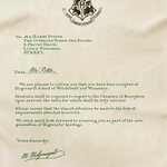 Lot de 2 Torchons Lettre dAdmission - Poudlard - MinaLima - Harry Potter HPT05(3)
