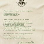 Lot de 2 Torchons Lettre dAdmission - Poudlard - MinaLima - Harry Potter HPT05(5)