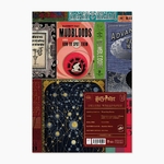 echantillon livres des sorciers