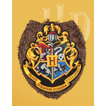Piñata Harry Potter 318835(2)