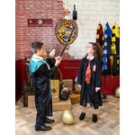 Piñata Harry Potter 318835(5)
