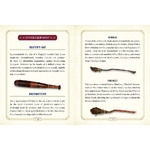 Coffret Collector Quidditch - Harry Potter - Running Press & Donald Lemke 9780762483488 (4)