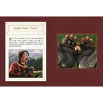 Coffret Collector Deluxe Vif dOr en lévitation - Harry Potter - Warner Bross. 9780762471850 (3)