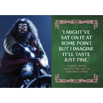 Hagrid et Gâteau danniversaire dHarry - Harry Potter - Donald Lemke 9780762487561 (3)