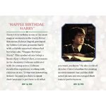 Hagrid et Gâteau danniversaire dHarry - Harry Potter - Donald Lemke 9780762487561 (2)