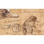 Réplique miniature Valise de Norbert Dragonneau - Les Animaux Fantastiques - Running Press 9780762460724 (4)