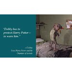 Réplique miniature interactive Dobby - Harry Potter - Running Press 9780762463107(3)