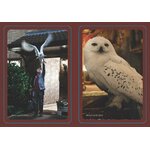 Figurine interactive Hedwige - Harry Potter - Running Press 9780762479832(2)