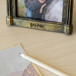Cadre photo Miroir du Risèd - Harry Potter MF3D01(8)