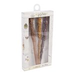 Pack de 3 stylos à bille Harry Potter 2100003341(5)