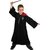 deguisement harry potter 1