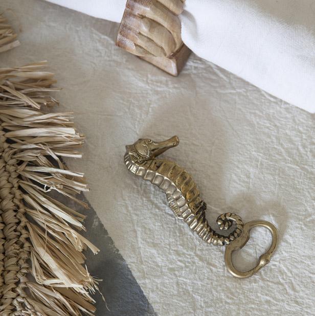 Décapsuleur Hippocampe 02