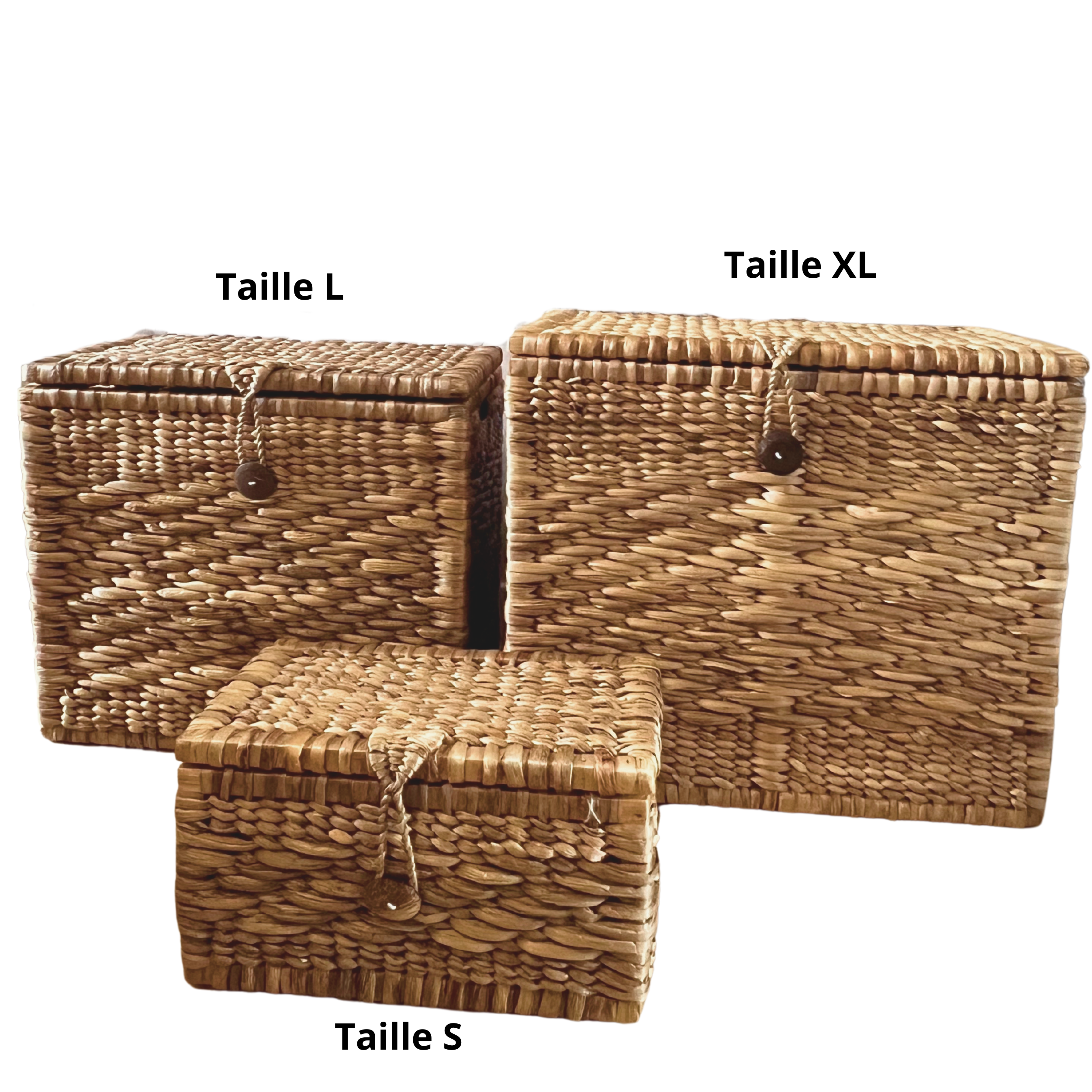 Taille S