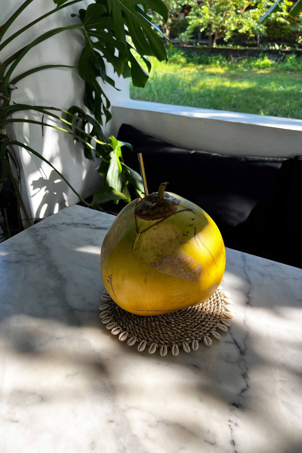 BAJN056N_101