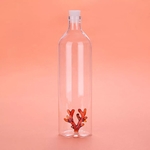 Bouteille transparente verre corail 2