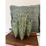 Vase en feuille de tulipes
