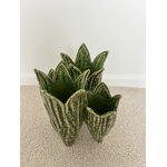 Vase feuilles de tulipe vert