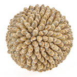 Boule décorative coquillages
