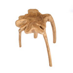 Table d’appoint Rooty en racine de teck naturel, vue de face