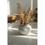 JABR041ConN-M_202