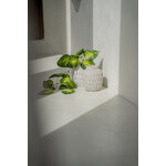 JABR042Con-L_502