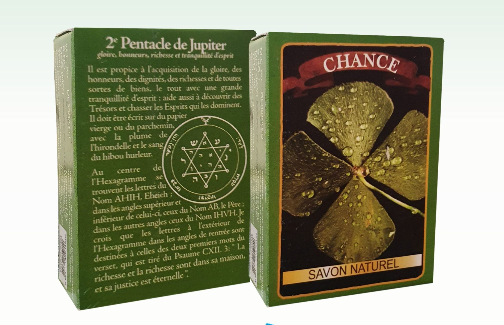 CHANCE-scaled-fotor-2023091519850
