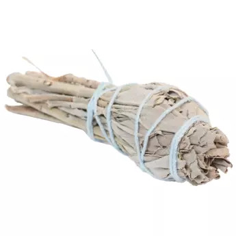 sauge-blanche-salvia-apiana-mini-torche-de-fumigation-d-environ-8-cm-15-20-g