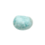 chrysocolle-pir042