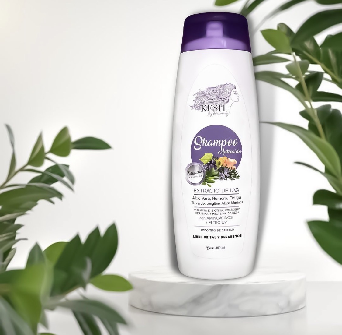 SHAMPOO ANTI CAIDA KESH 3