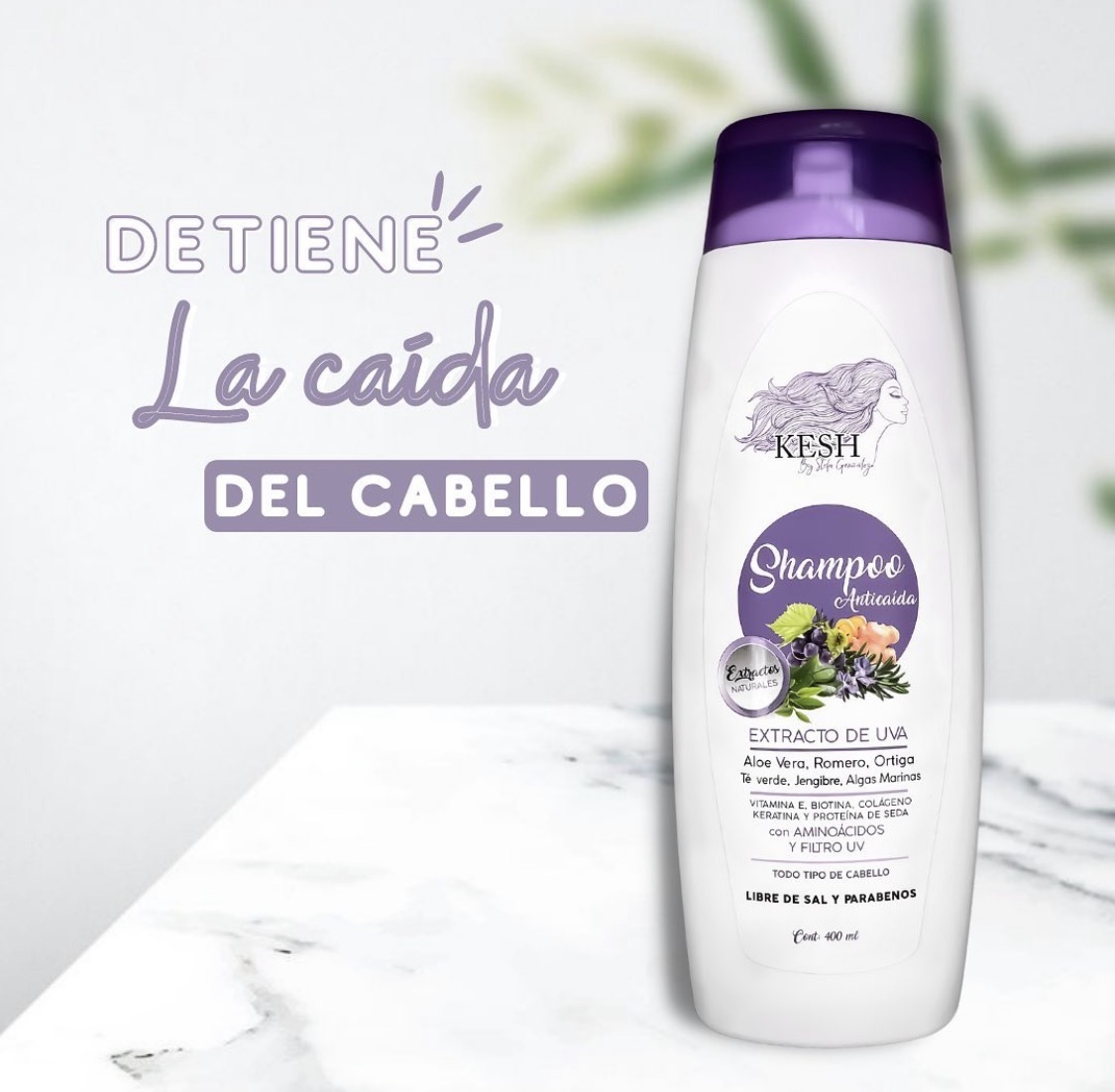 SHAMPOO ANTI CAIDA KESH 4