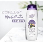 SHAMPOO ANTI CAIDA KESH 2