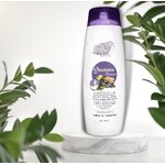 SHAMPOO ANTI CAIDA KESH 3