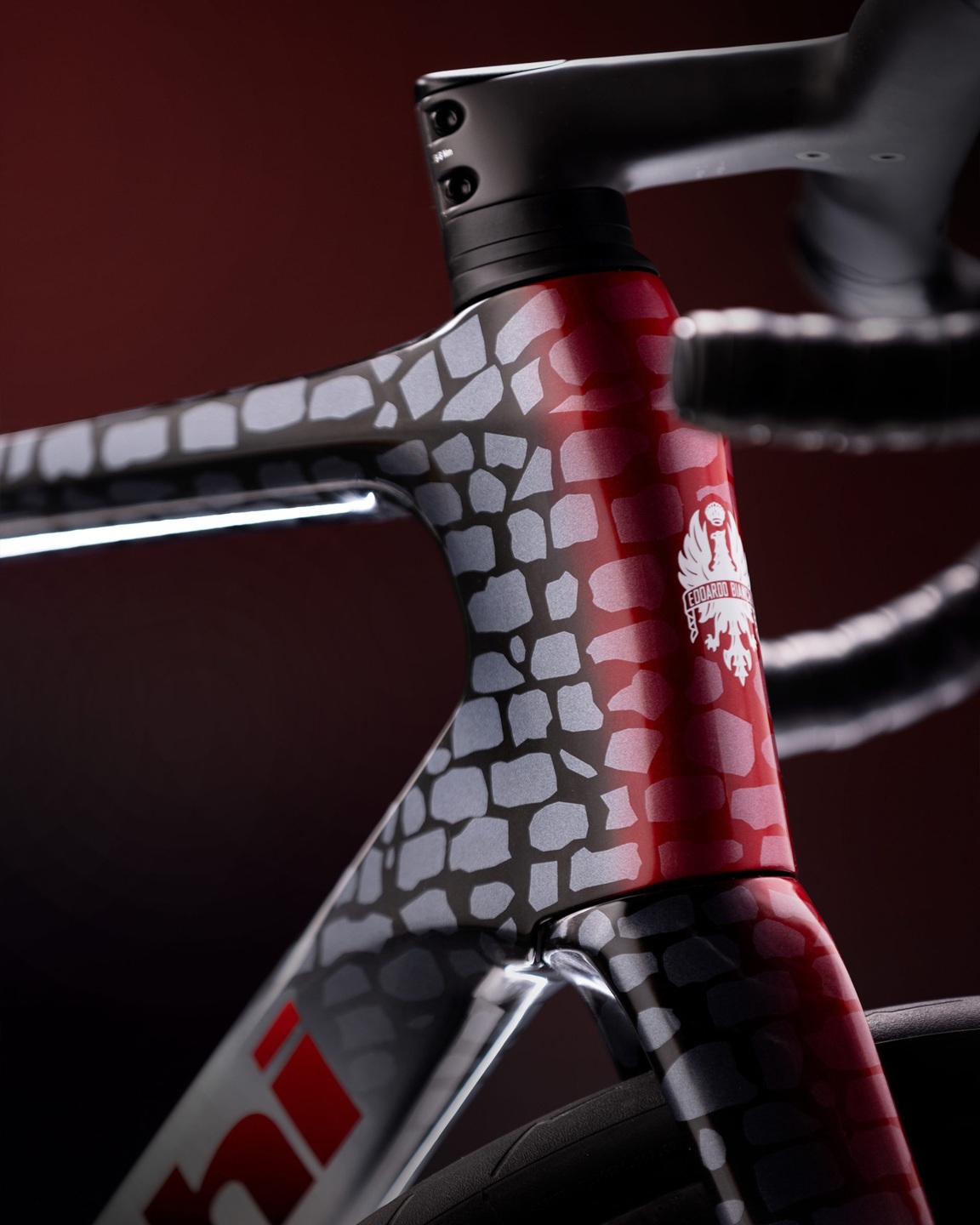 Infinito-paris-Roubaix_14