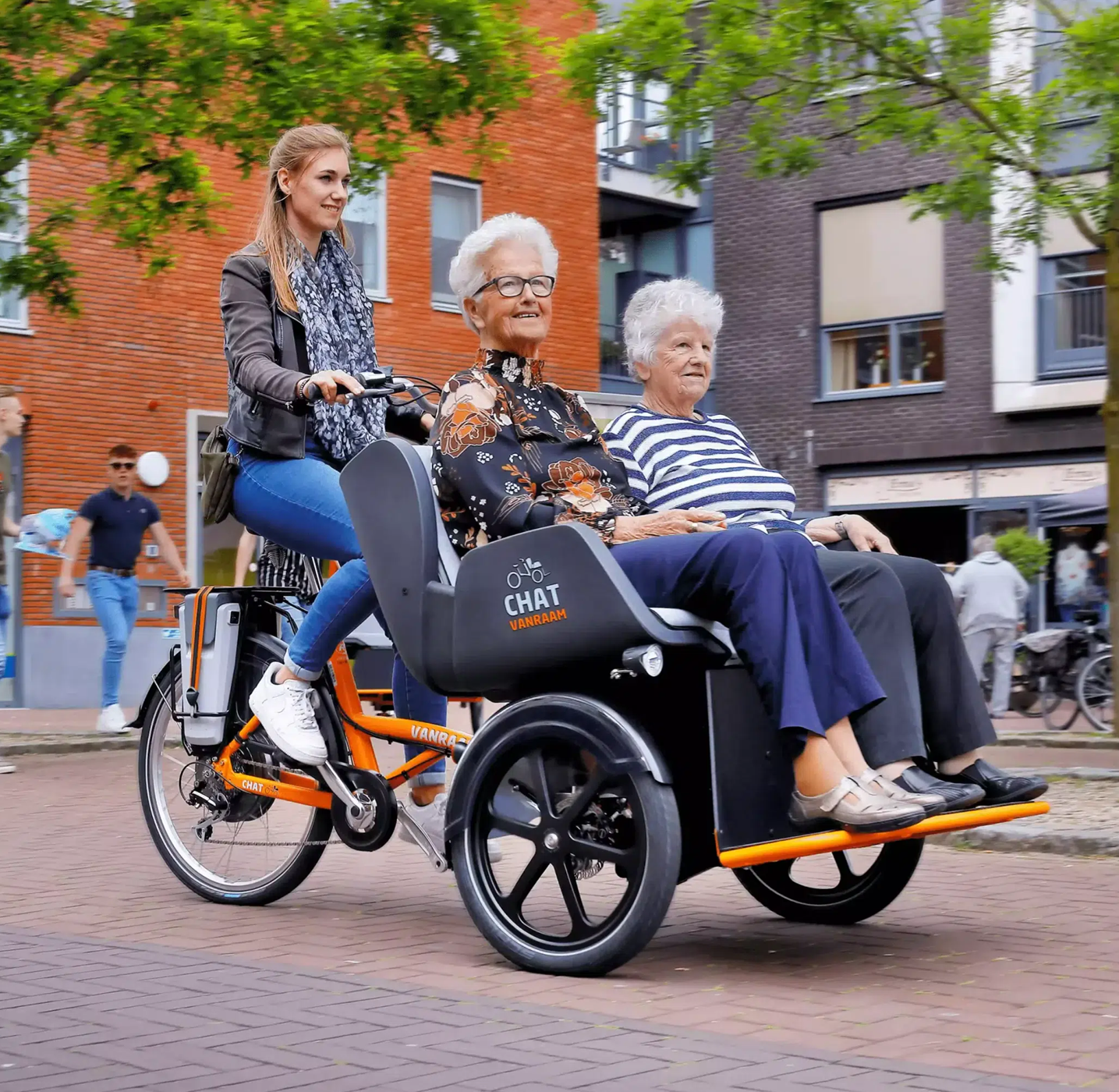 chat_tricycle_electrique_vanraam_addbike_4