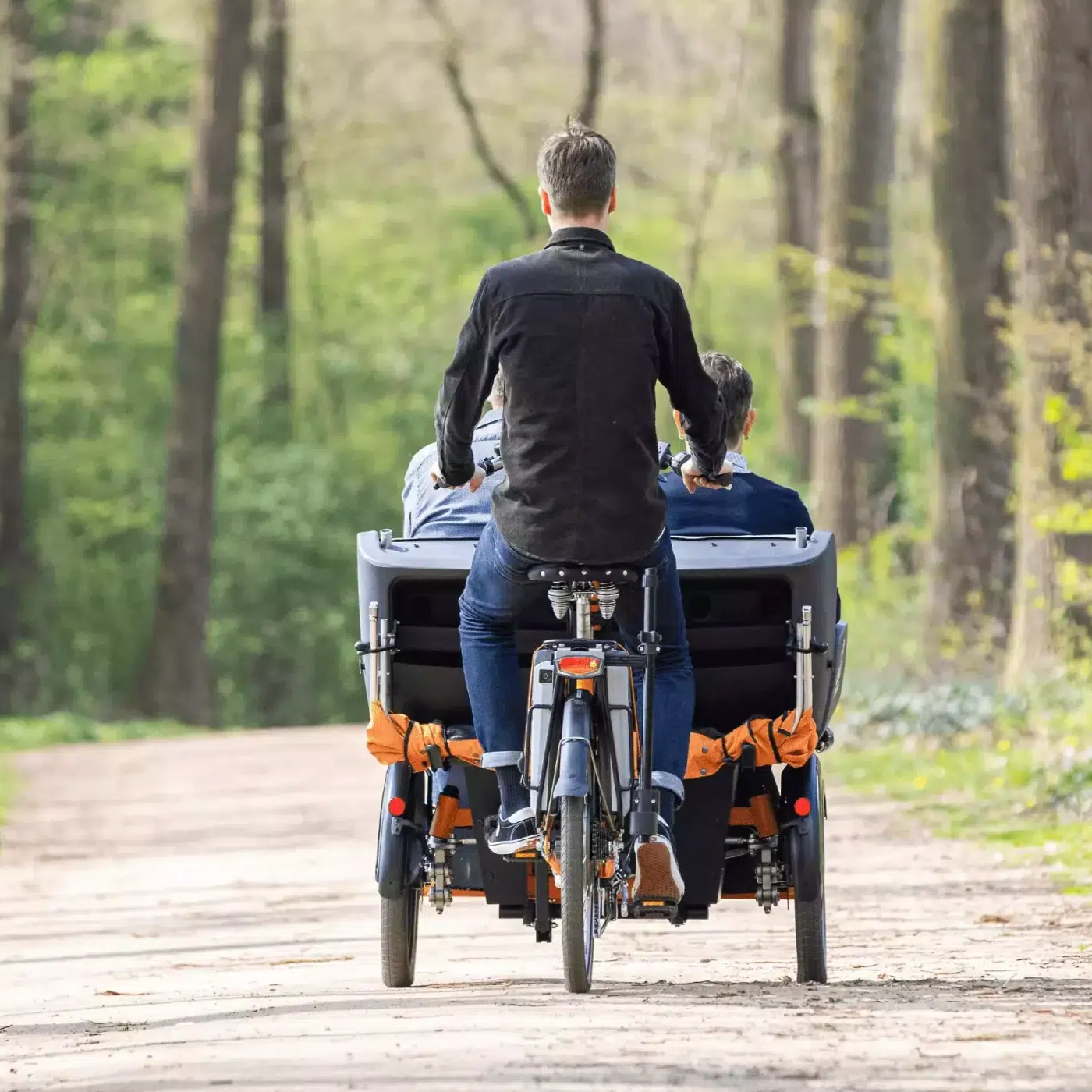 chat_tricycle_electrique_vanraam_addbike_10